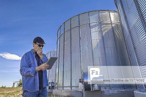 A farmer stands beside grain storage bins looking at a tablet with an expression of concern; Alberta  Canada
