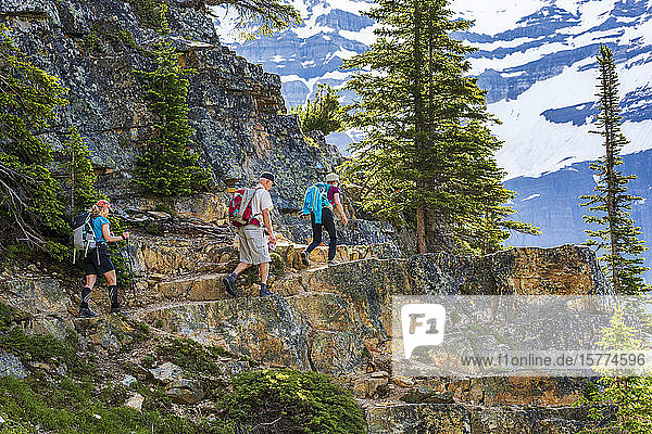 Hikers along a rocky cliff mountain trail with a snow covered mountain range in the background  Yoho National Park; Field  British Columbia  Canada