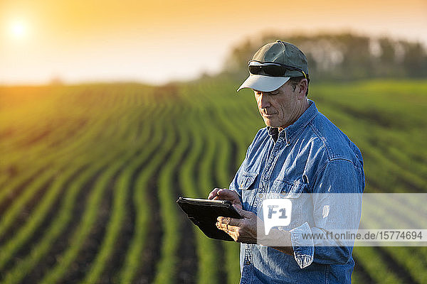 A farmer stands beside a farm field using a tablet; Alberta  Canada