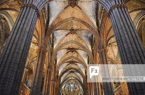 Niederwinkel-Innenansicht des Gewölbes  Kathedrale vom Heiligen Kreuz und der Heiligen Eulalia  Barcelona  Katalonien  Spanien.