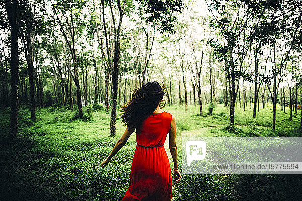 Rückansicht einer jungen Frau in rotem Kleid  die in einem Wald läuft.