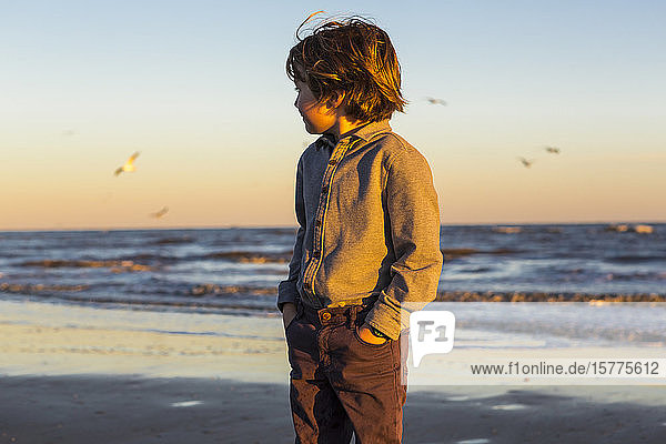 A young boy and a flock of seagulls on a beach