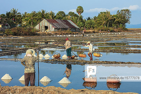 Salzhaufen und Arbeiter bei der Ernte der Salzfelder an der Praek Tuek Chhu Flussmündung südlich der Stadt  Kampot  Kambodscha  Indochina  Südostasien  Asien