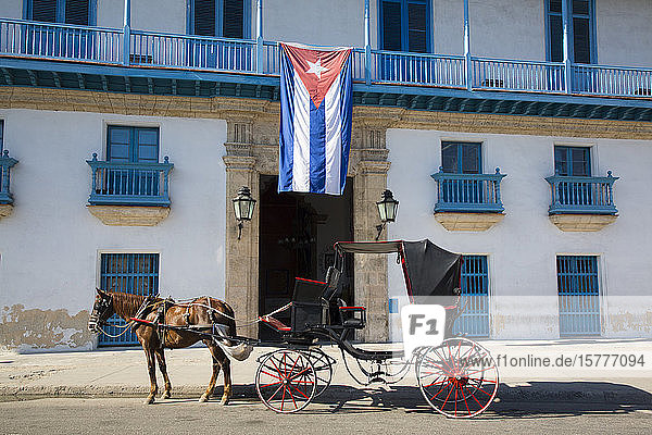 Pferdekutsche  Palacio de la Artesania (Palast der Kunsthandwerker)  Altstadt  UNESCO-Weltkulturerbe  Havanna  Kuba  Westindien  Karibik  Mittelamerika
