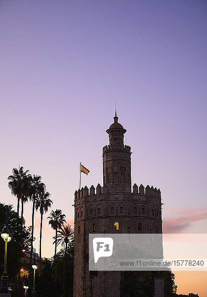 Torre del Oro by palm trees at sunset in Seville Spain