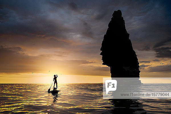 Paddelboarder auf dem Wasser bei Sonnenuntergang  neben dem Seestapel  Cliffs of Moher  Doolin  Clare  Irland