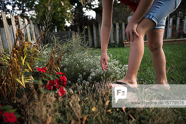 Mädchen greift im Garten nach der Blume