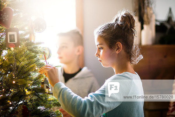Geschwister schmücken den Weihnachtsbaum zu Hause