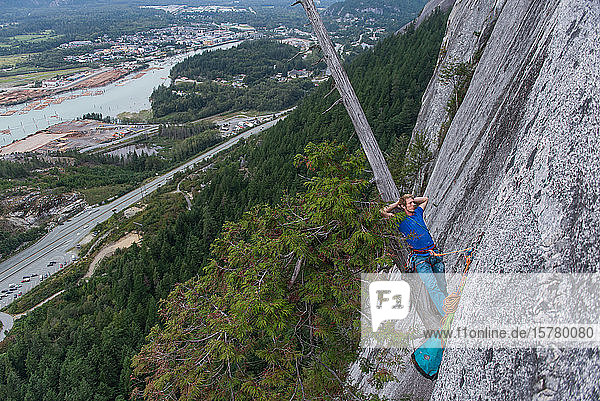 Climber sleeping leaning back on a tree growing out of the cliff face traditional climbing Sea to Sky corridor Squamish