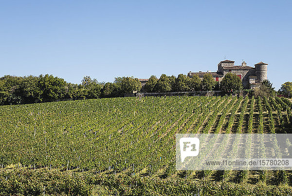 Frankreich  Nouvelle-Aquitaine  Departement Gironde  Weinregion Bordeaux  Weinberge und Chateau Lacaussade