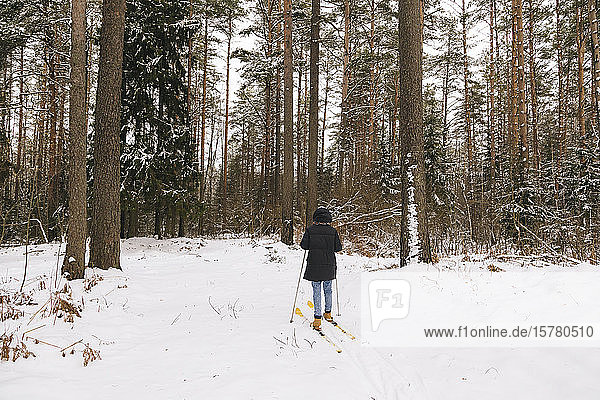 Back view of woman on skis in winter forest