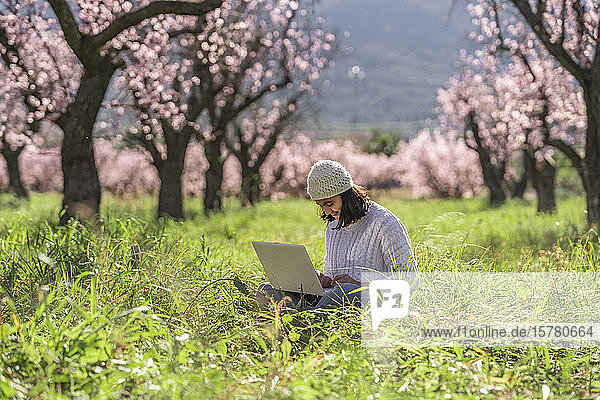 Teenage girl sitting on a meadow in among blossoming almond trees using laptop