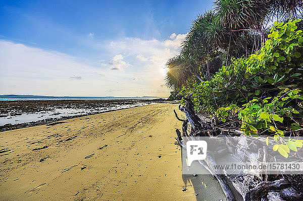 Indonesien  Bintan  Tropischer Strand