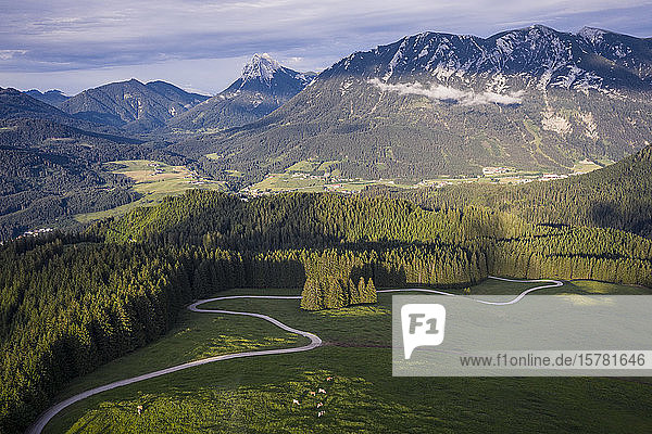 Österreich  Tirol  Eben am Achensee  Luftaufnahme der kurvenreichen Straße und des grünen Alpenwaldes im Sommer