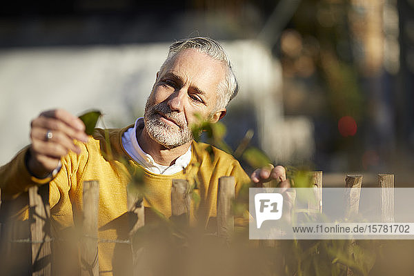 Portrait of mature man looking at plant