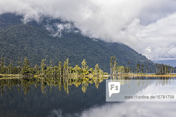 Neuseeland  Grey District  Inchbonnie  Bewaldeter Hügel  der sich im Brunnersee spiegelt