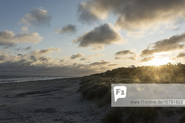 Deutschland  Mecklenburg-Vorpommern  Prerow  Sandstrand an der Küste bei bewölktem Sonnenaufgang