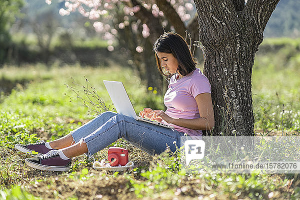 Teenager-Mädchen sitzt auf einer Wiese und lehnt sich mit einem Laptop an einen Baumstamm