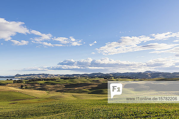 Neuseeland  Nord-Otago  Hampden  Sommerwolken über grünen grasbewachsenen Hügeln