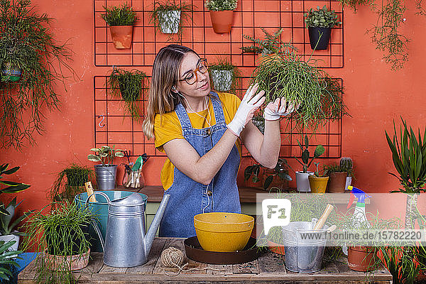 Frau untersucht Rhipsalis-Pflanze auf ihrer Terrasse