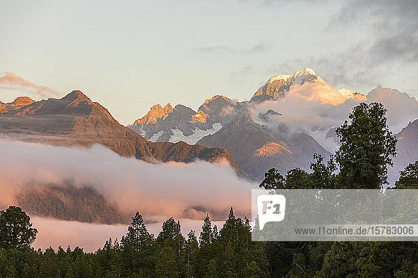Neuseeland  Westland-Distrikt  Fox-Gletscher  LMountain-Gebirge in Morgennebel gehüllt