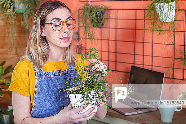Frau kümmert sich um eine Rhipsalis-Pflanze auf ihrer Terrasse