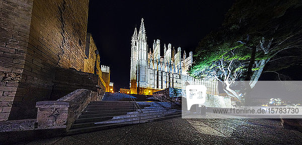 Spanien, Balearen, Palma de Mallorca, Kathedrale Santa Maria von Palma nachts beleuchtet