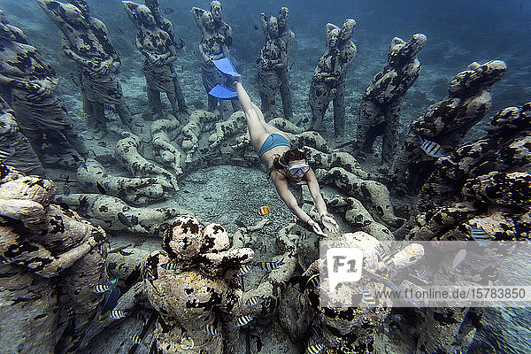 Frau schwimmt in der Nähe einer Unterwasser-Skulptur von Jason deCaires Taylor  Insel Gili Meno  Bali  Indonesien