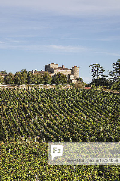 France Nouvelle-Aquitaine Department Gironde Bordeaux wine region vineyards and Chateau Lacaussade