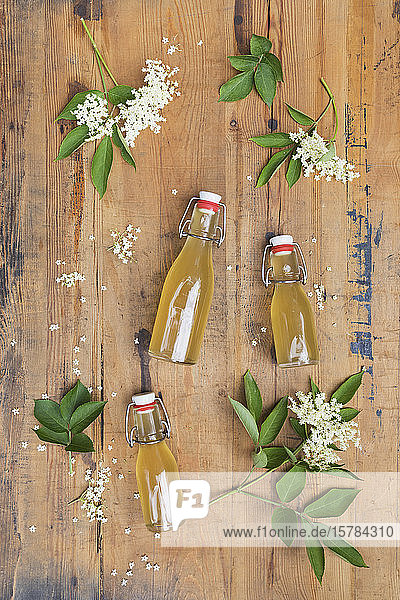 Elderflowers (Sambucus) with leaves and elderflower syrup bottles on wooden table