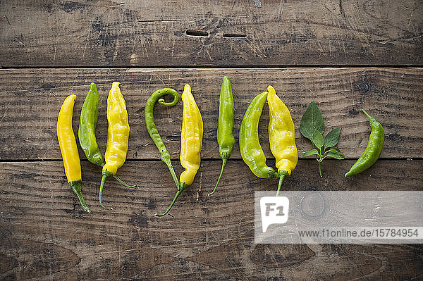 Gelbe und grüne Chilischoten (Paprika)  scharfe Paprika  mit Blättern auf dem Tisch