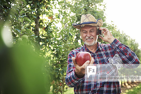 Stolzer Obstbauer hält Apfel  telefoniert
