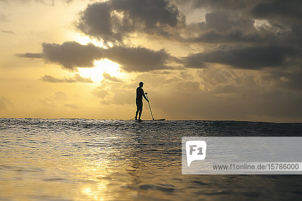 Sup surfer at sunset  Bali  Indonesia