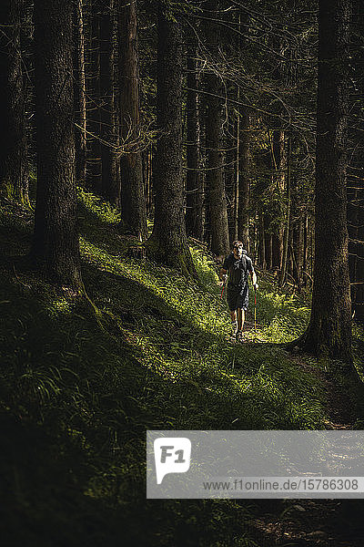 Mann mit Wanderstöcken auf einer Wanderung im Wald  Karwendel  Tirol  Österreich