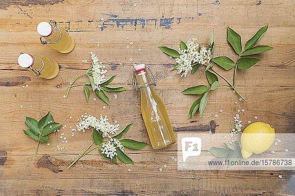 Elderflowers (Sambucus) with leaves and elderflower syrup bottles on wooden table