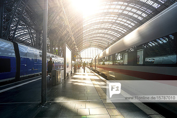 Germany  Hesse  Frankfurt  Sun shining through glass ceiling of Frankfurt (Main) Hauptbahnhof