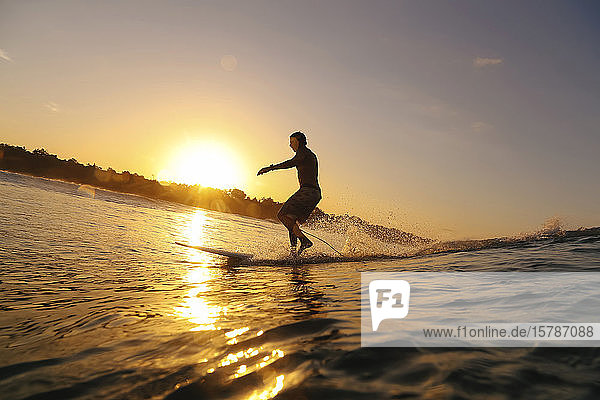 Surfer at sunset  Bali  Indonesia