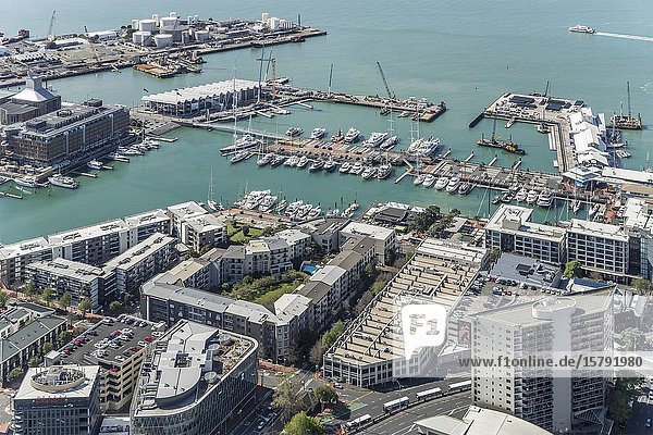 AUCKLAND  NEW ZEALAND - November 05 2019: cityscape from above of harbor docks and quays at cool downtown of dynamic city  shot in bright late spring light on november 05 2019 at Auckland  North Island  New Zealand.