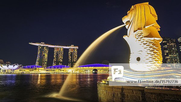 Merlion fountain and Marina Bay Sands at night  Singapore  Republic of Singapore.