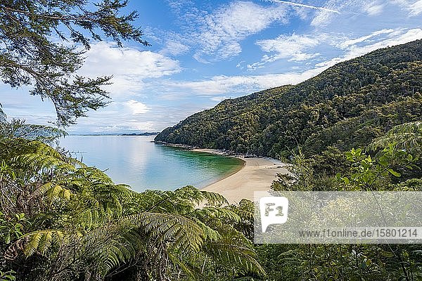 Blick auf den Strand von Stillwell Bay vom Abel Tasman Coastal Track  Abel Tasman National Park  Tasman  Südinsel  Neuseeland  Ozeanien