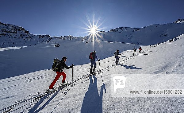 Ski tourers in winter  sunshine and blue sky  ascent to the Geierspitze  Wattentaler Lizum  Tux Alps  Tyrol  Austria  Europe