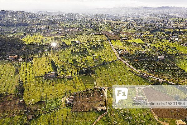 Plantagen mit blühenden Mandelbäumen  Olivenbäumen und Obstbäumen  bei Selva  Region Raiguer  Luftaufnahme  Mallorca  Balearen  Spanien  Europa