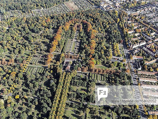 Stadtfriedhof Seelhorst zentrale Lindenallee im Herbst Hannover Niedersachsen Deutschland Europa