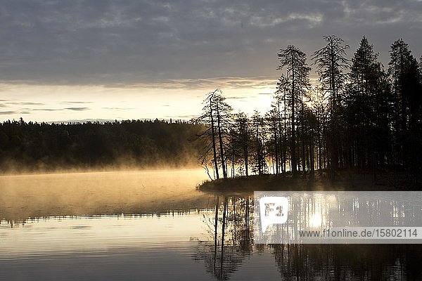 Sonnenaufgang mit Nebel an einem See in der finnischen Taiga  Kainuu  Nordkarelien  Kuhmo  Finnland  Europa
