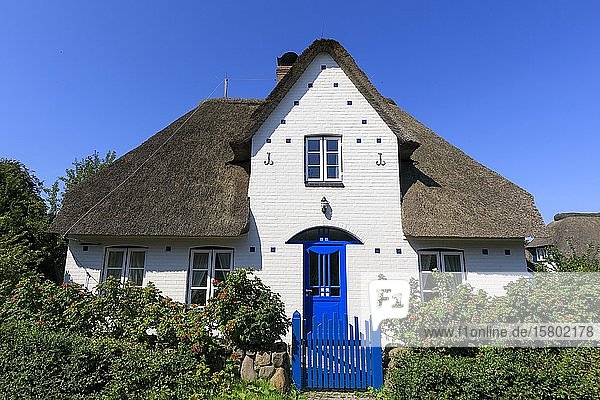 Reetdachhaus im Nebel auf der Insel Amrum  Nordsee  Nordfriesische Insel  Schleswig-Holstein  Deutschland  Europa