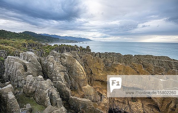 Coastal landscape of sandstone rocks  Pancake Rocks  Paparoa National Park  Punakaiki  West Coast  South Island  New Zealand  Oceania