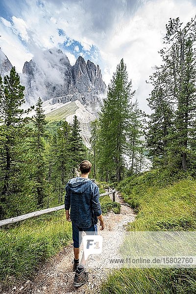 Young man  hiker on a hiking trail in the forest  in the back mountain peaks of the Geislergruppe  Parco Naturale Puez Odle  South Tyrol  Italy  Europe