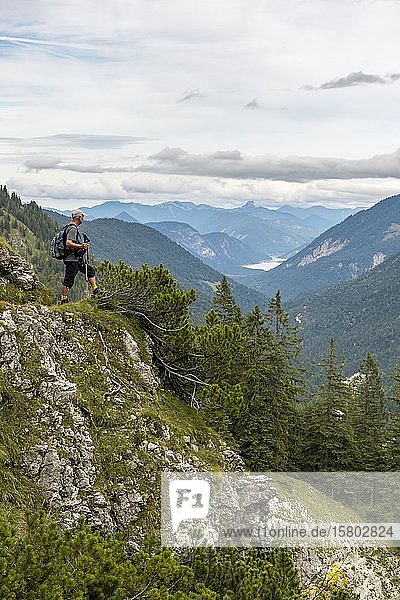 Hiker looks at the Sylvenstein Dam  valley in the Alps  hiking trail to the Soiernhaus  Lenggries  Bavaria  Germany  Europe