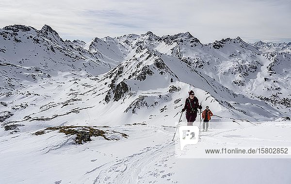 Ski tourers in the snow  in the back Tarn Valley heads  Wattentaler Lizum  Tux Alps  Tyrol  Austria  Europe