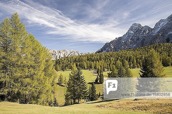 Herbst auf den Wiesen der Armentara  Dolomiten  Südtirol  Italien  Europa